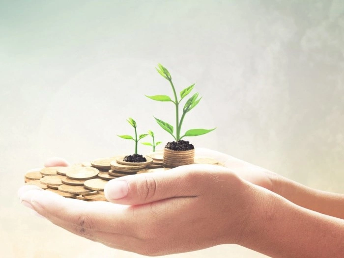 About ANANYA NIDHI BANK